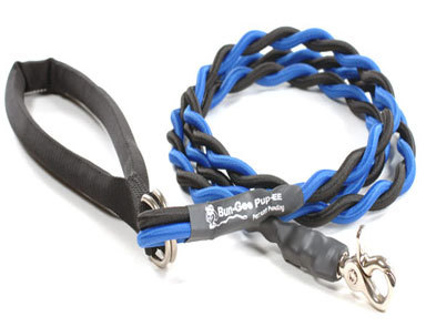 Bungee lead best sale for dogs